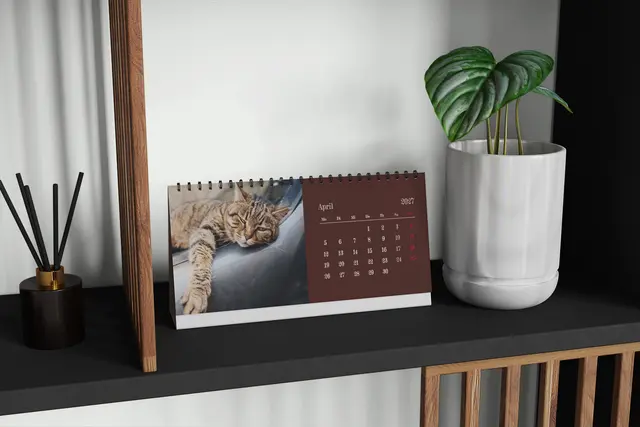 Klein, kompakt und orginell: der Tischkalender passt auf jeden Schreibtisch Fotokalender für den Tisch