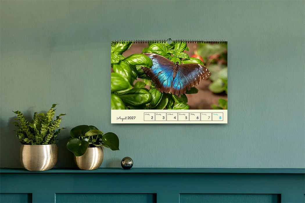 Jede Woche ein neues Highlight an der Wand Wochenkalender für die Wand mit 55 Einzelseiten